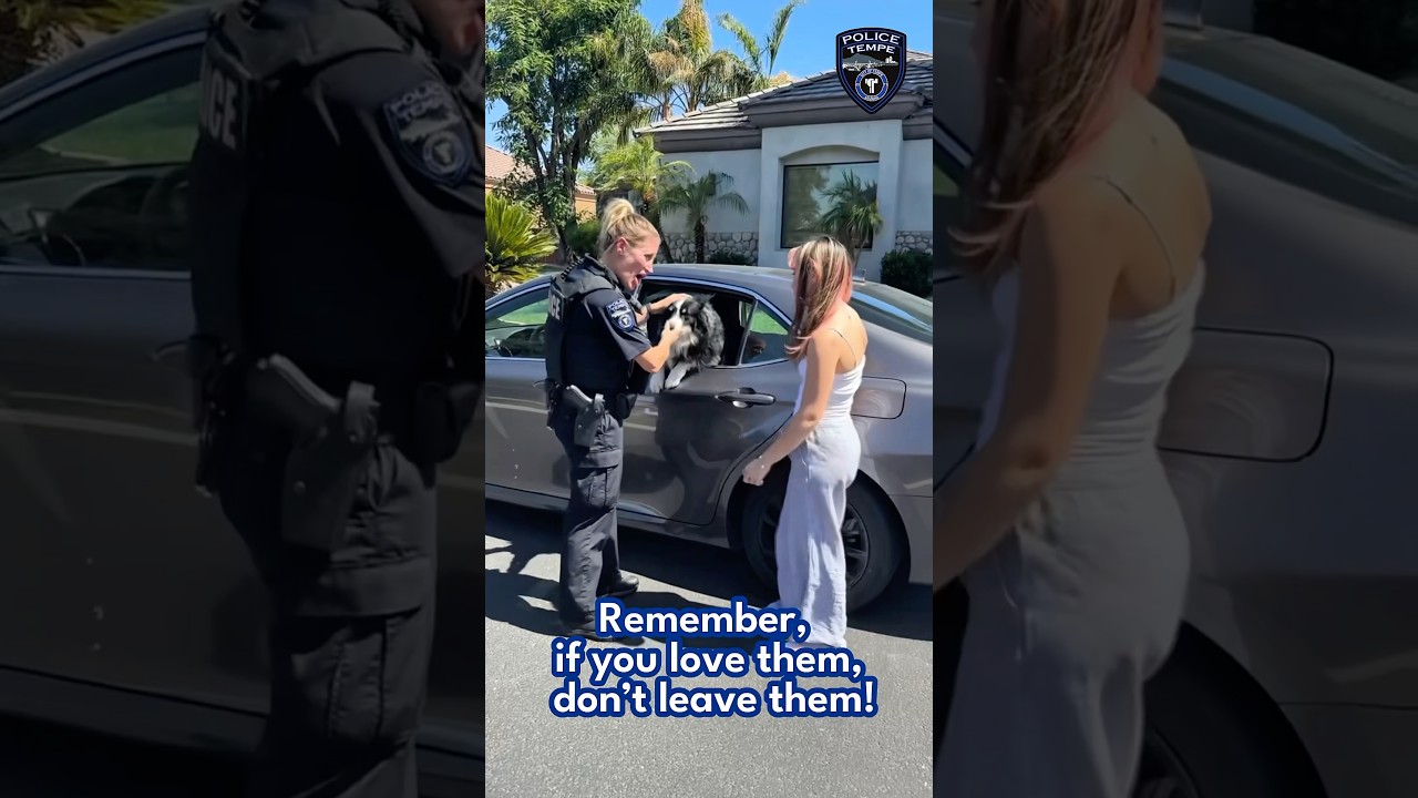 Dogs in Hot Cars PSA