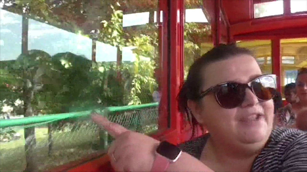 Riding the miniature train at Legoland Windsor! | Through Andy's Eyes