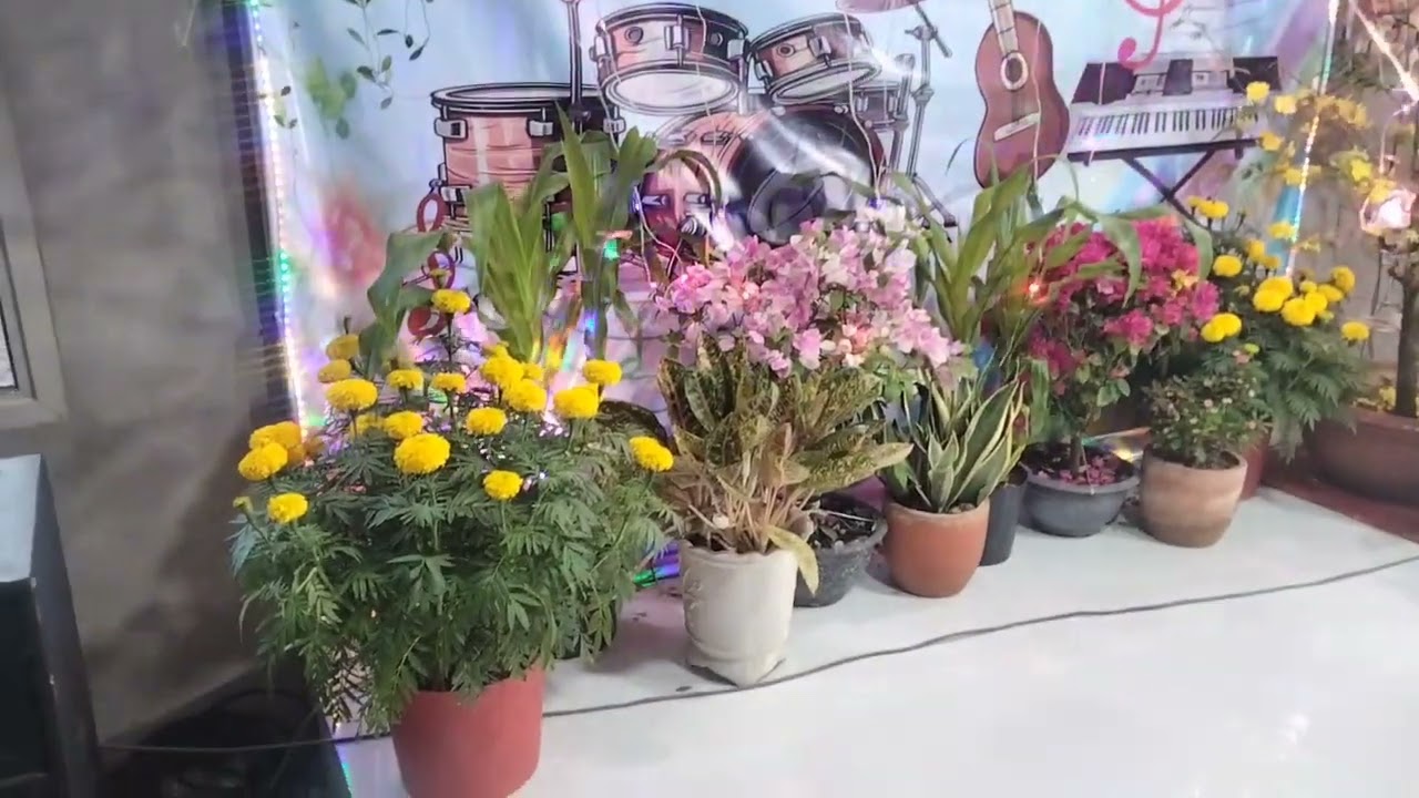 Mừng 2 tết thưởng thức điểm hẹn Giao lưu âm nhạc hát với nhau Năm bạn ba vát ở ấp Phước Lý xãPhướcMỹ