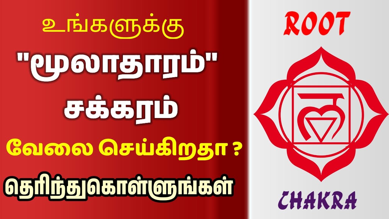 யாருக்கெல்லாம் மூலாதார சக்கரம் வேலை செய்யும்? | Root chakra | phoenix Yoga tamil
