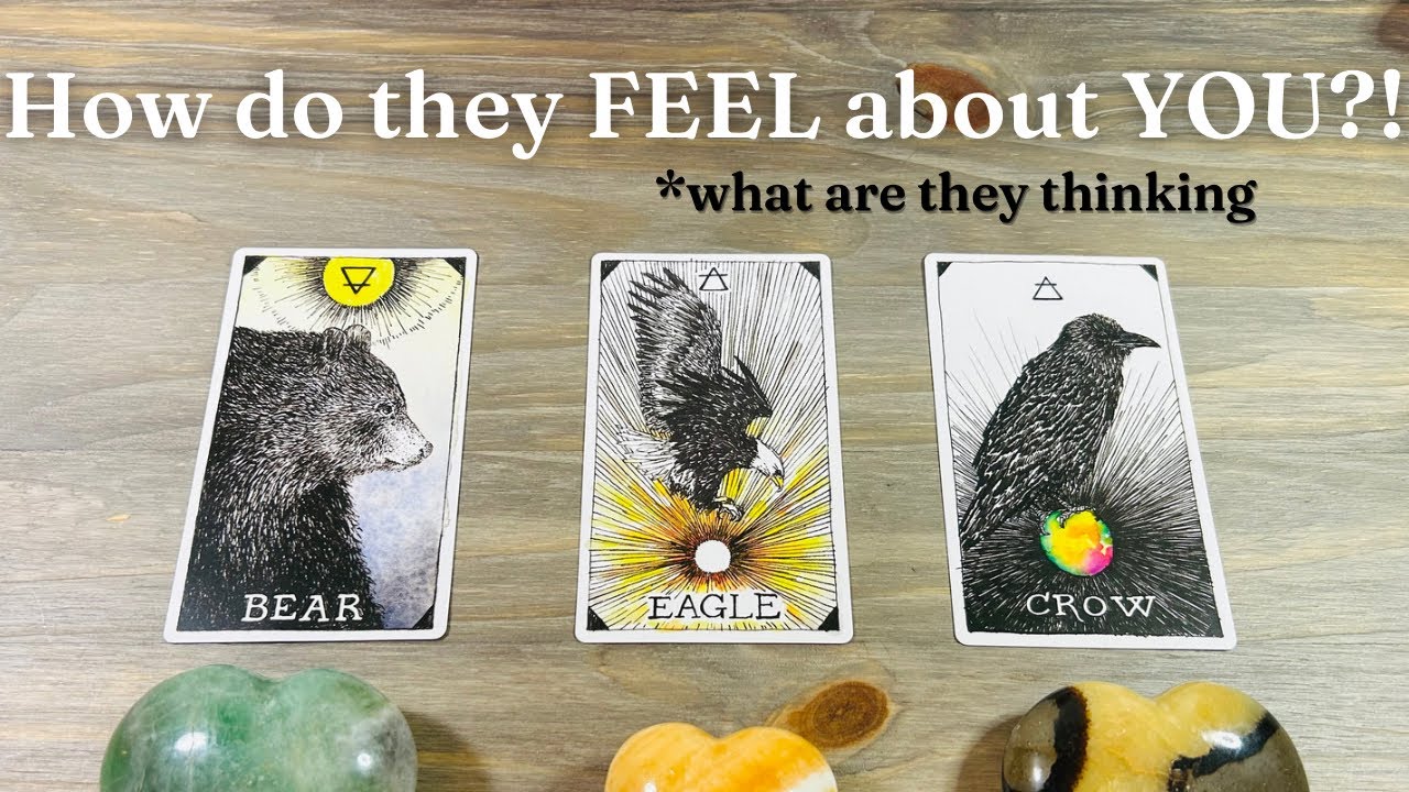 ❤️‍🔥😲🎶 Their Current FEELINGS for You!! Pick A Card * in Depth Love Tarot Reading TIMELESS