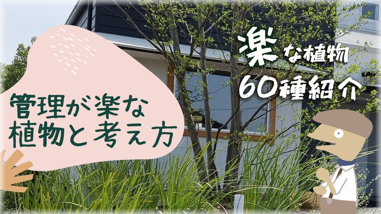 【保存版】管理が楽な植物と考え方🔰～中木低木下草60品種紹介～