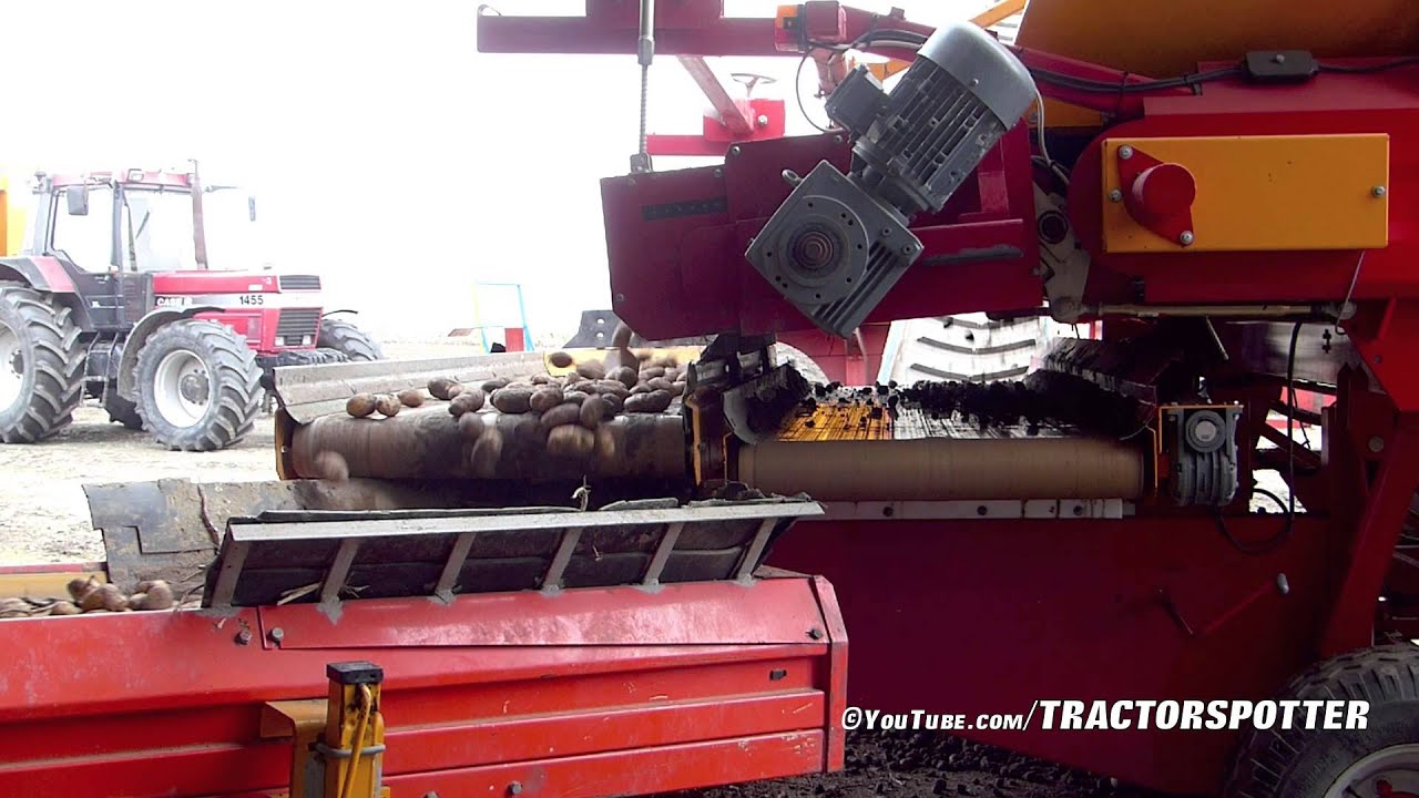 Potato Harvest | 3x AVR PUMA+ - 4 row potato harvesters | Aardappels rooien - Loonbedrijf Breure
