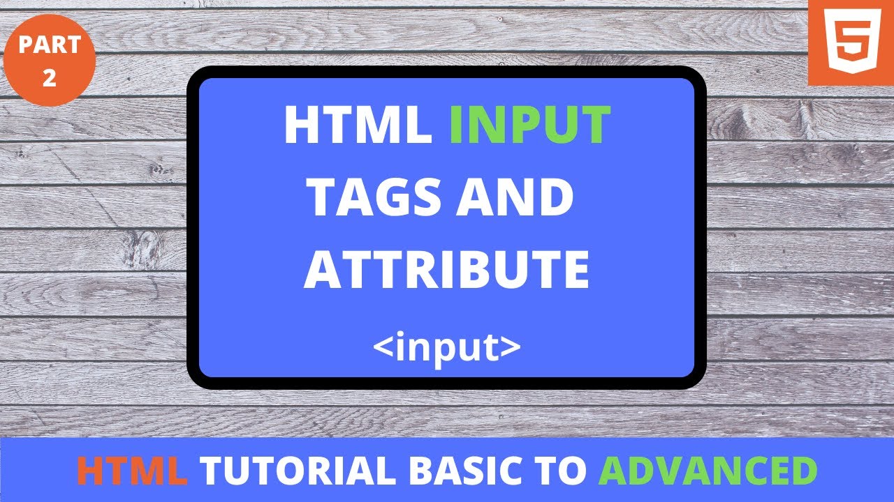Html Form Input Tag For Beginners In Hindi Part 26 | by programmer shakil