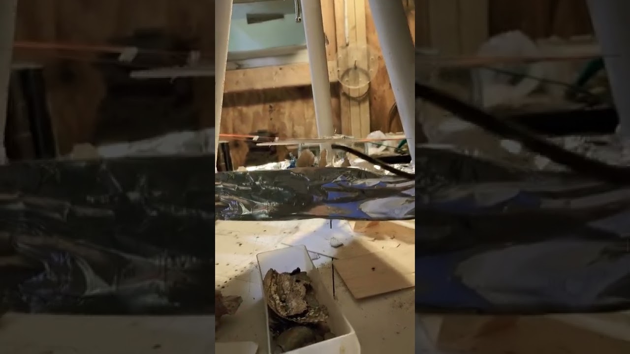 Electrostatic Attraction!