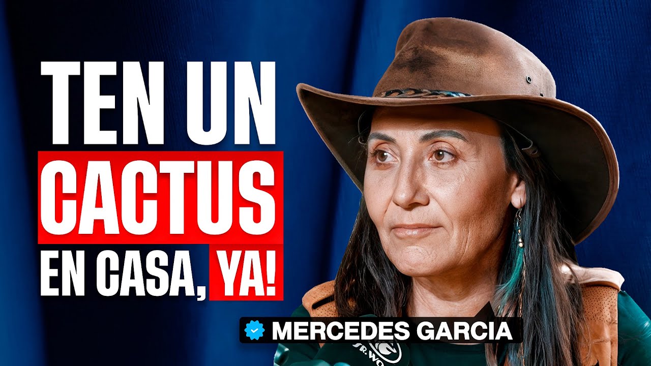 5 Usos Ocultos de los Cactus que te Harán Querer Uno | Mercedes García