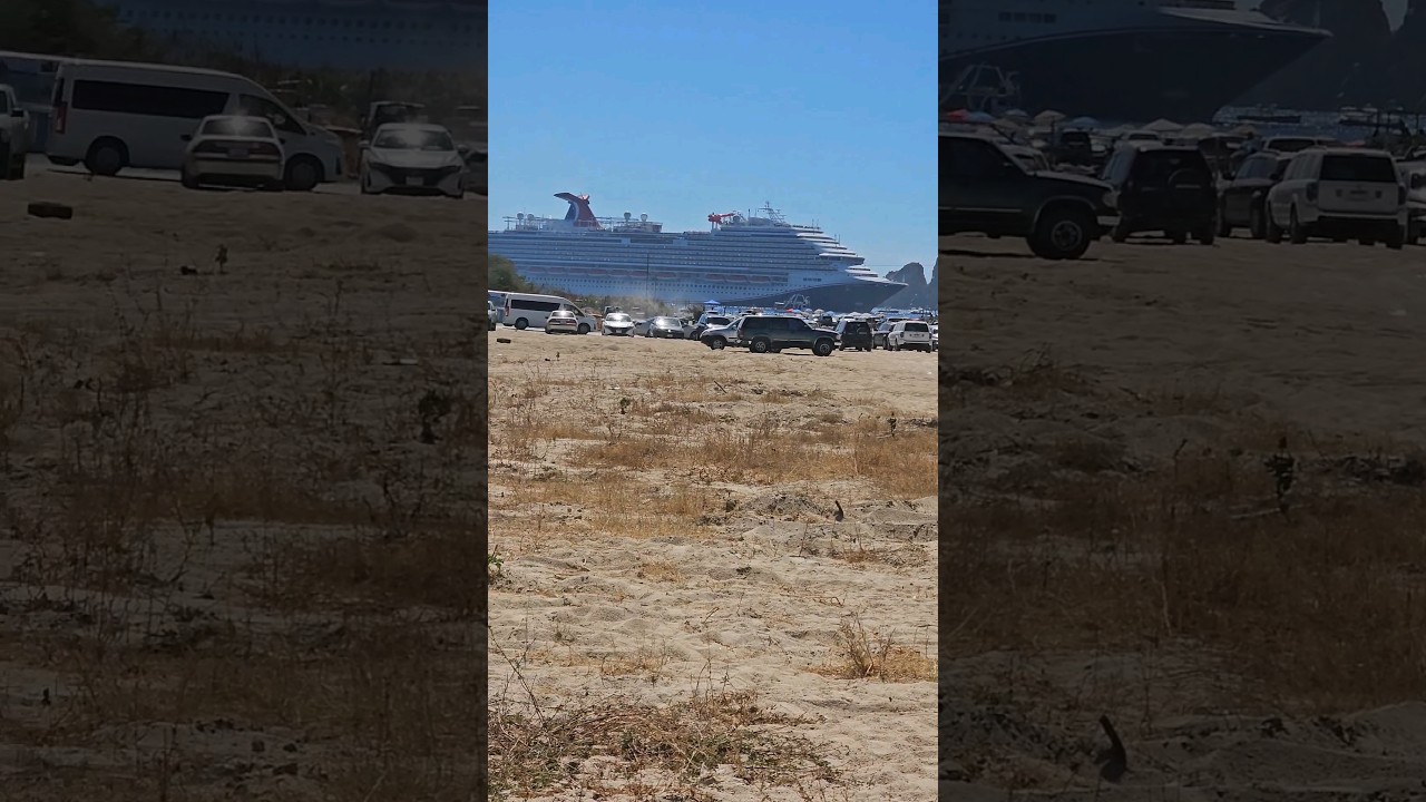 I'm free #vanconversion #vanlife #fordtransit #campervan #freedomrock #vantour #cruiseship