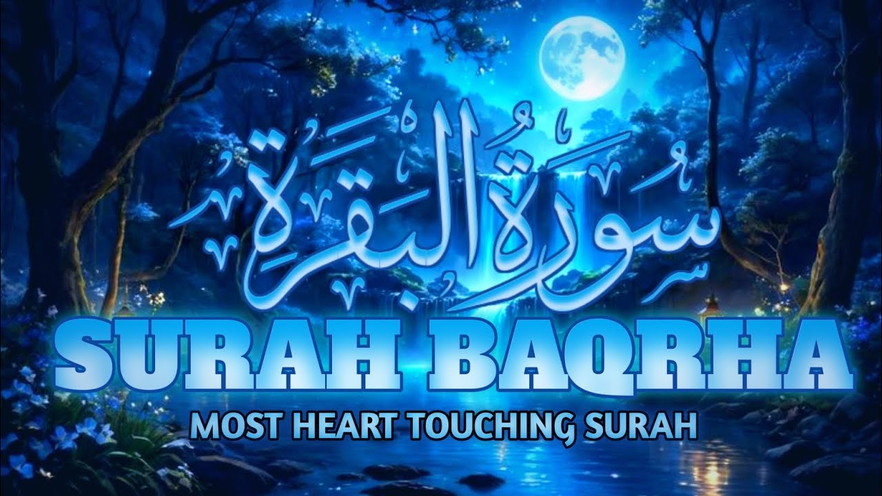 सूरह बकरा रिज्क और बरकत के लिए जरूर सुने🤲💖#quran #quranrecitation #qurantilawat #trending #viral 