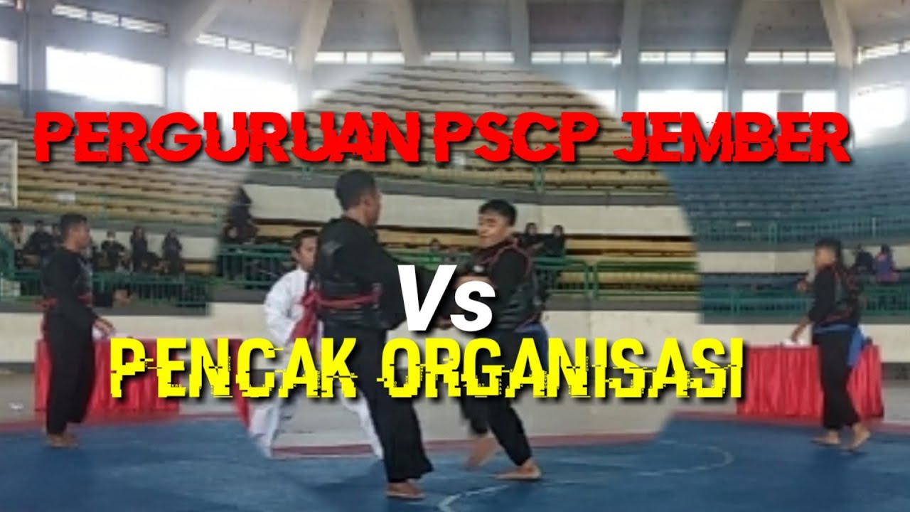 Atlet Perguruan PSCP Jember Libas Lawan || Seleksi PORPROV