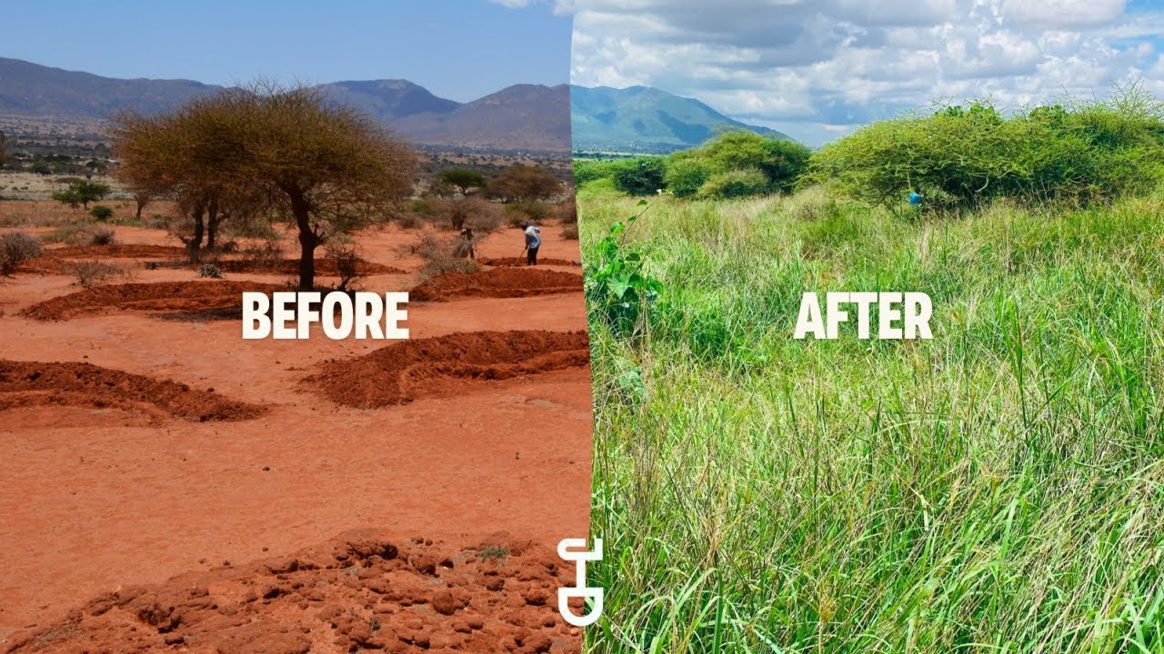 How Africa is Transforming Dry Land into Green Forests