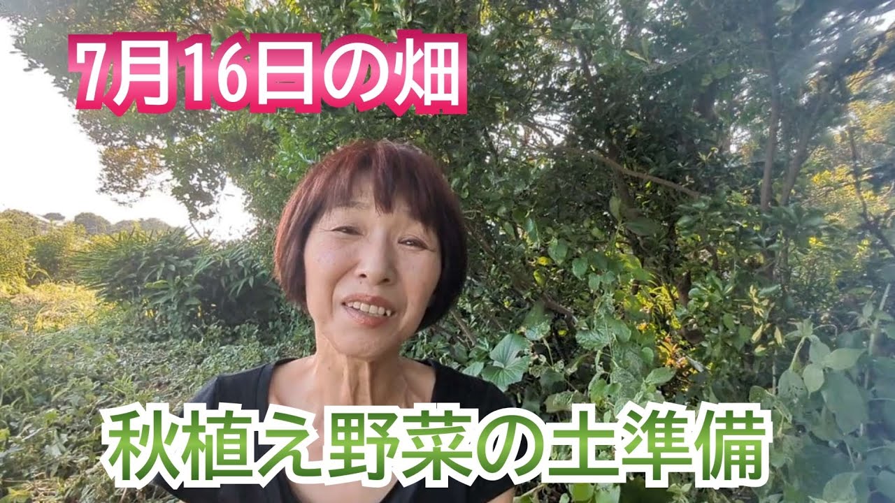 畑の現状と秋に植える野菜達のための土育て