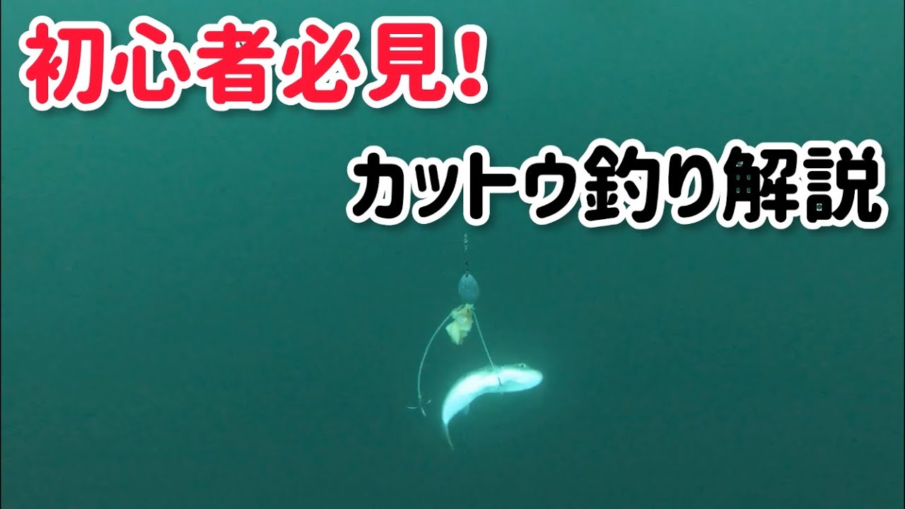 【敷嶋丸】初心者必見☆ふぐカットウ釣り水中動画❗️でかフグつれてます‼️〜後編〜