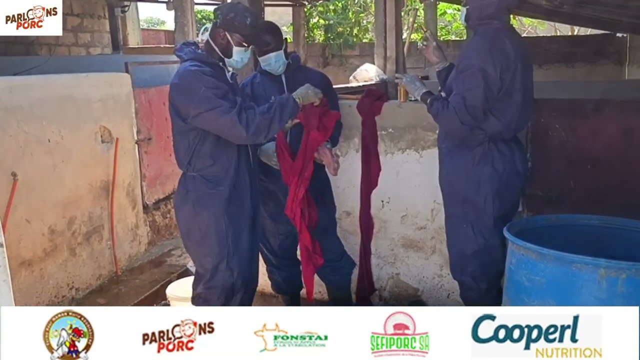 CENTRE D'INCUBATION EN PORCICULTURE