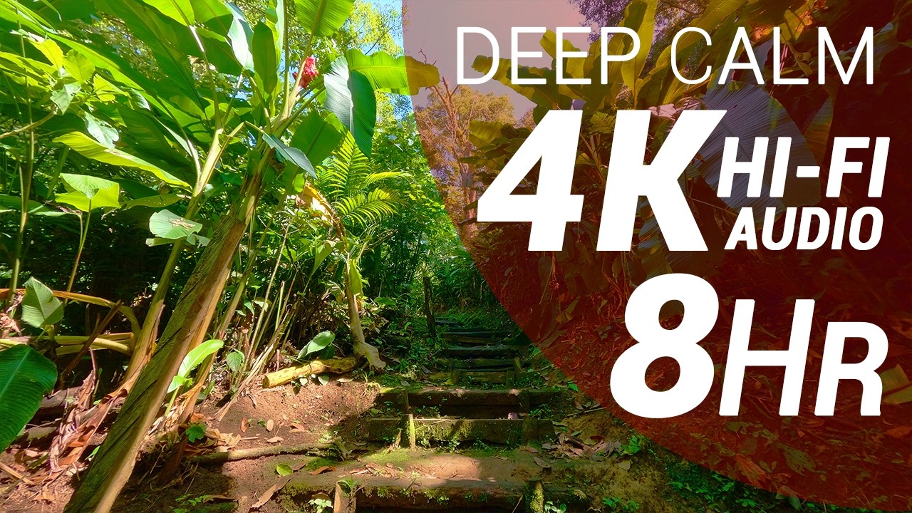 8 Hours of River and Birds Sounds on a Trail - Premontane Moist Forest (4K-Hi-Fi Audio - No Talking)