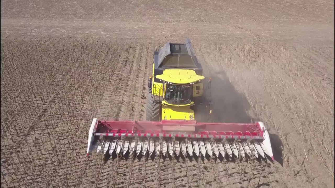 Комбайн New Holland CX8.80 з жниваркою Maizco на Дні поля 15.09.2017 (Миколаїв)