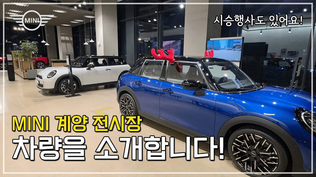 [MINI] 에이스맨 무이자 할부가 가능하다고?! 미니쿠퍼 전기차에 관심 있으셨다면 필수 시청!