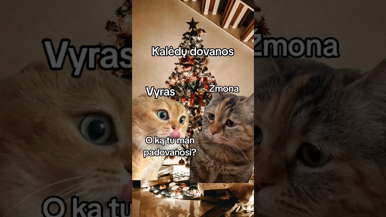 KALĖDŲ DOVANOS