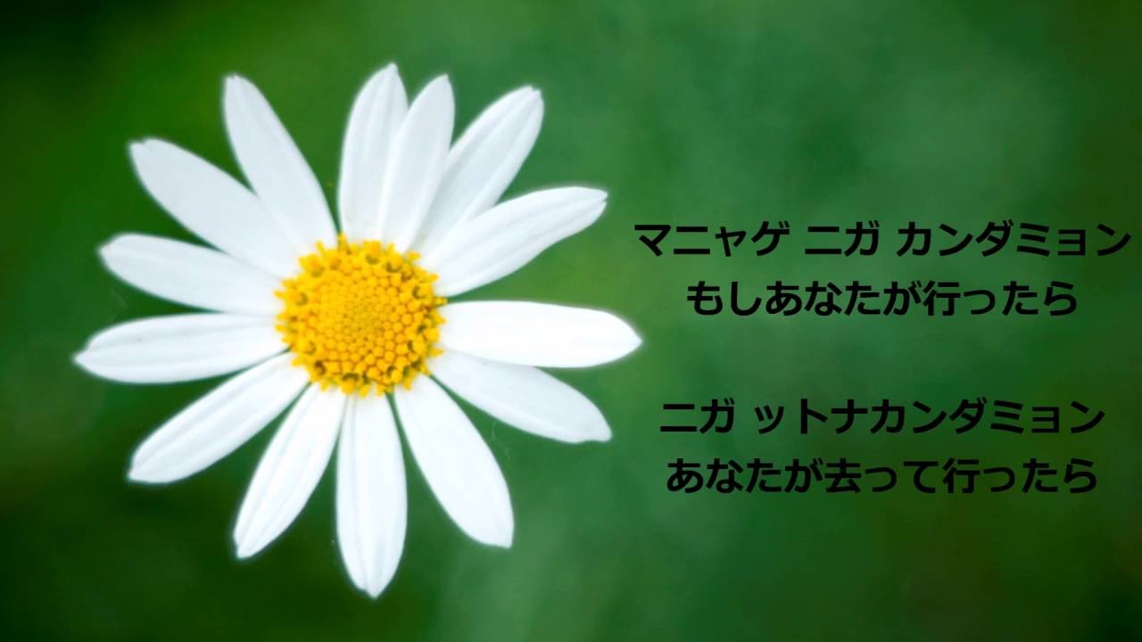 If 　もしも　만약에　/Tae Yeon　テヨン　태연（日本語字幕・韓国語発音ルビ）