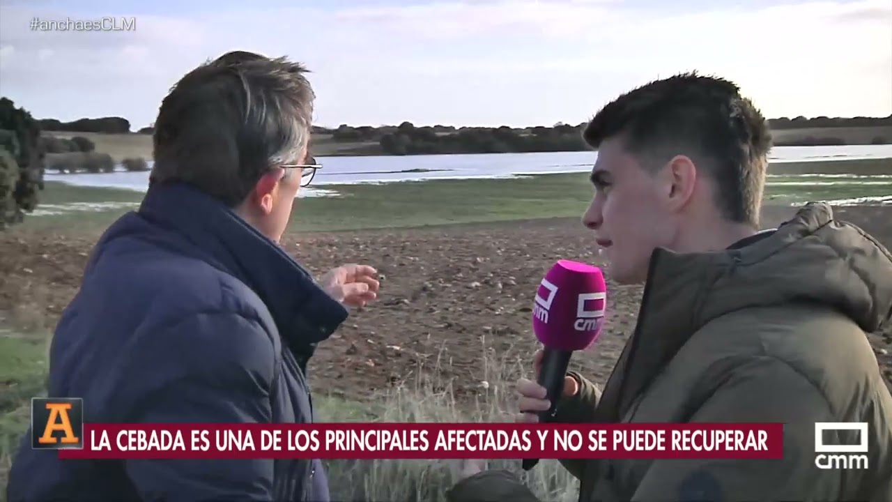Los campos sufren el exceso de lluvia