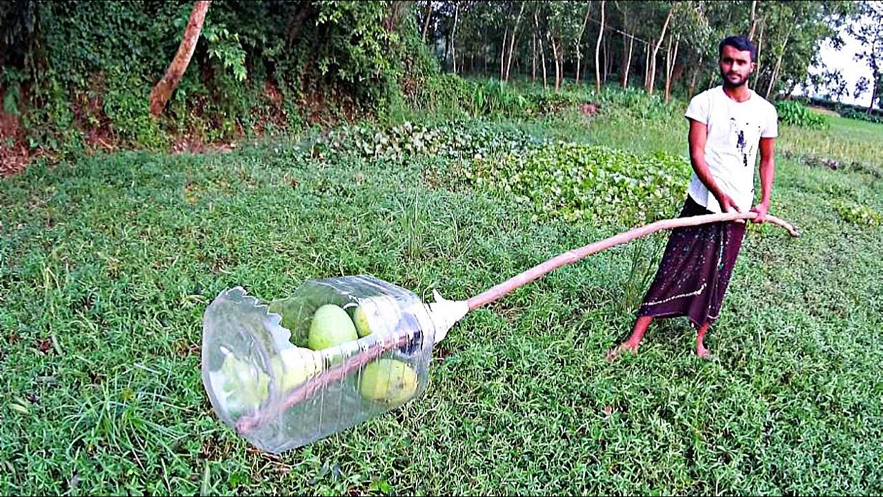 Mango Picker | Fruit Picker Basket With Survival Skills-Fruit Plucker