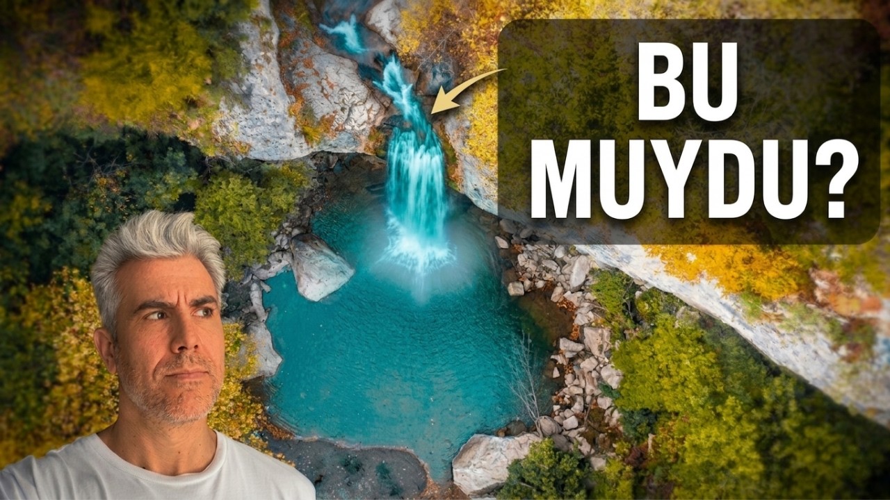 Исследование грибов на водопаде Доганчей 🍄 Ядовитые и съедобные грибы | Природный влог Сакарьи