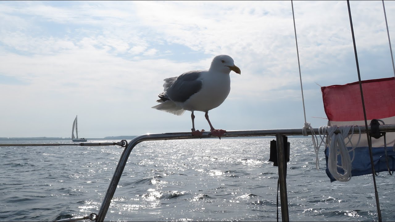Zeilen op de Grevelingen april 2020