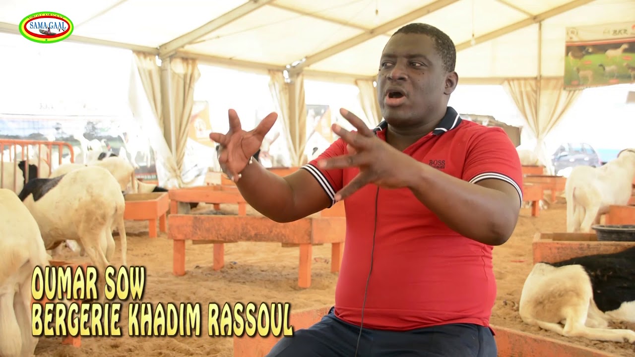 ENTRETIEN AVEC MR OUMAR SOW BERGERIE KHADIM RASSOUL