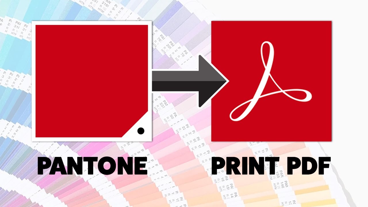 Как экспортировать плашечные цвета Pantone в PDF для печати в Adobe Illustrator