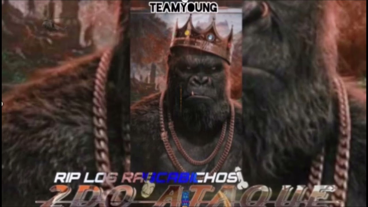 Miguel young - 2do ataque - RIP los Rascabichos🎭