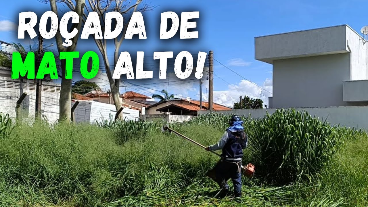 Como Roçar Mato Alto | Dicas Valiosas | Dia Dia do Jardineiro