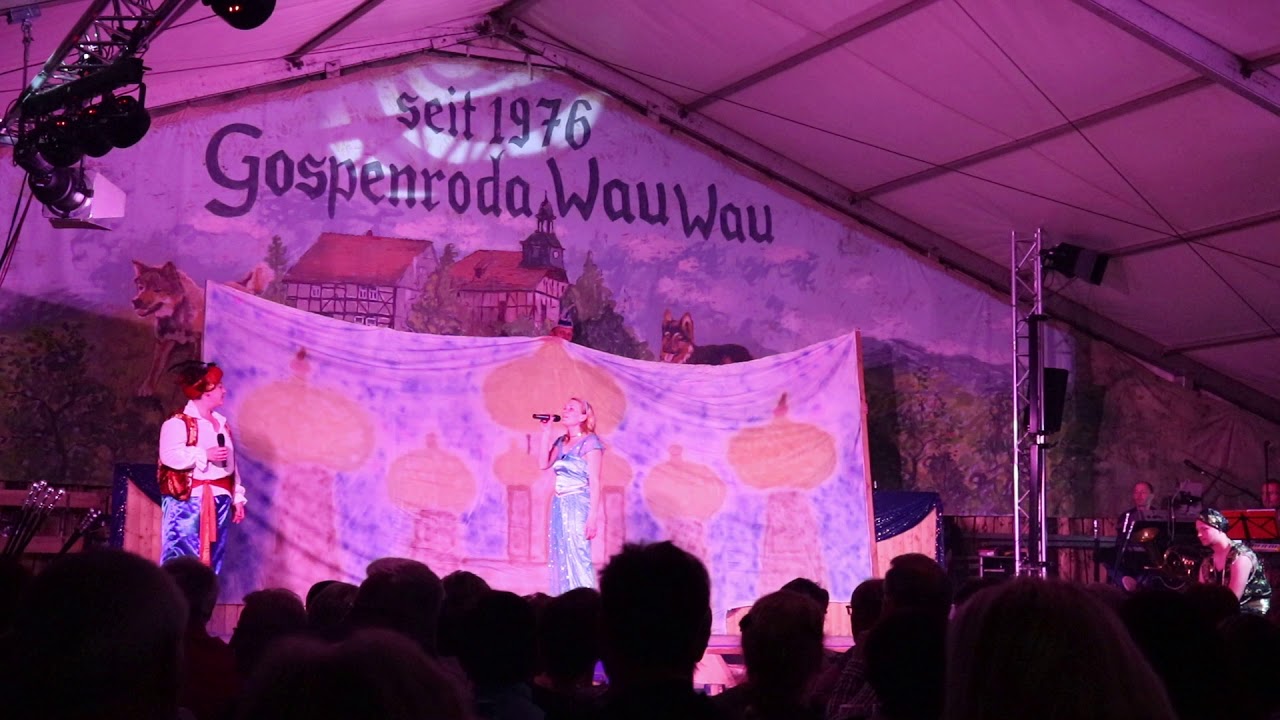 Aladdin - Ein Traum wird wahr - Karneval Gospenroda 2018