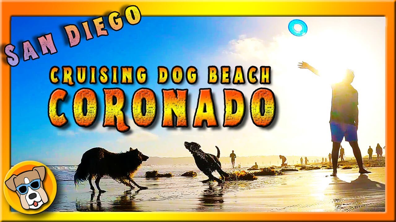 🌴Cruising Coronado Dog Beach in San Diego California [DOG BEACH CRUISING]