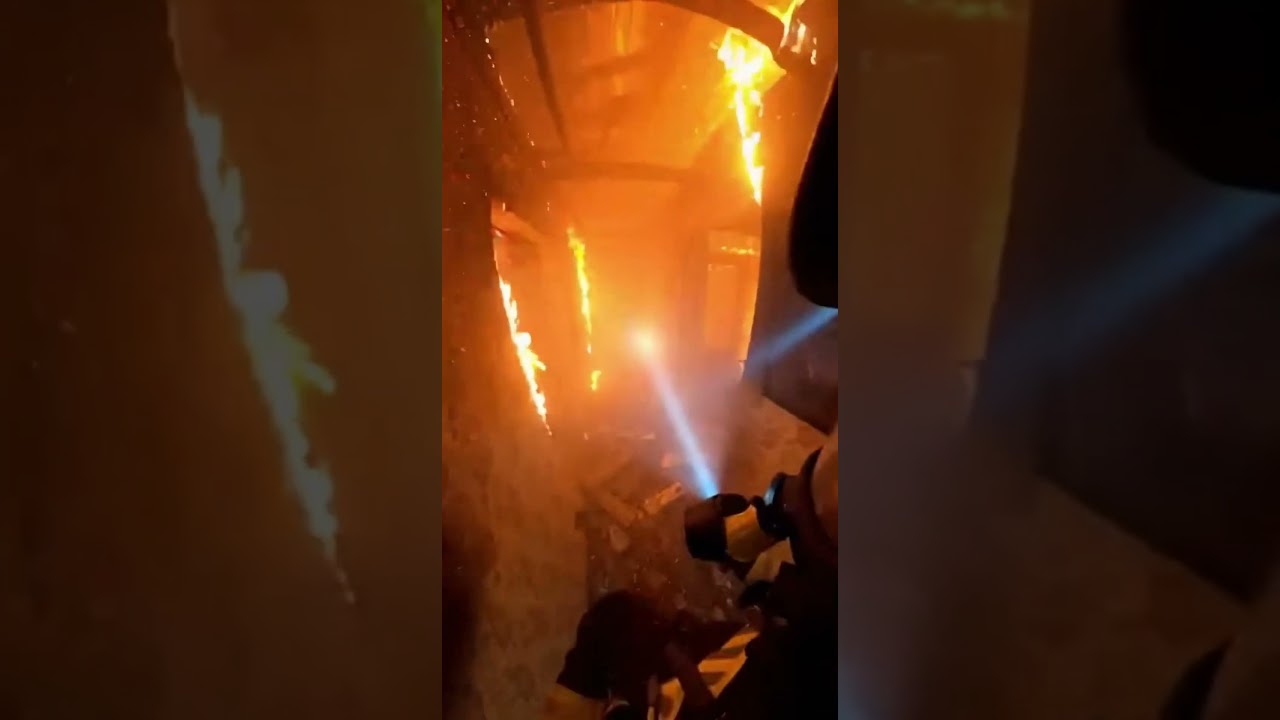 Firefighter Refused to Leave Her Behind 😱🐱 