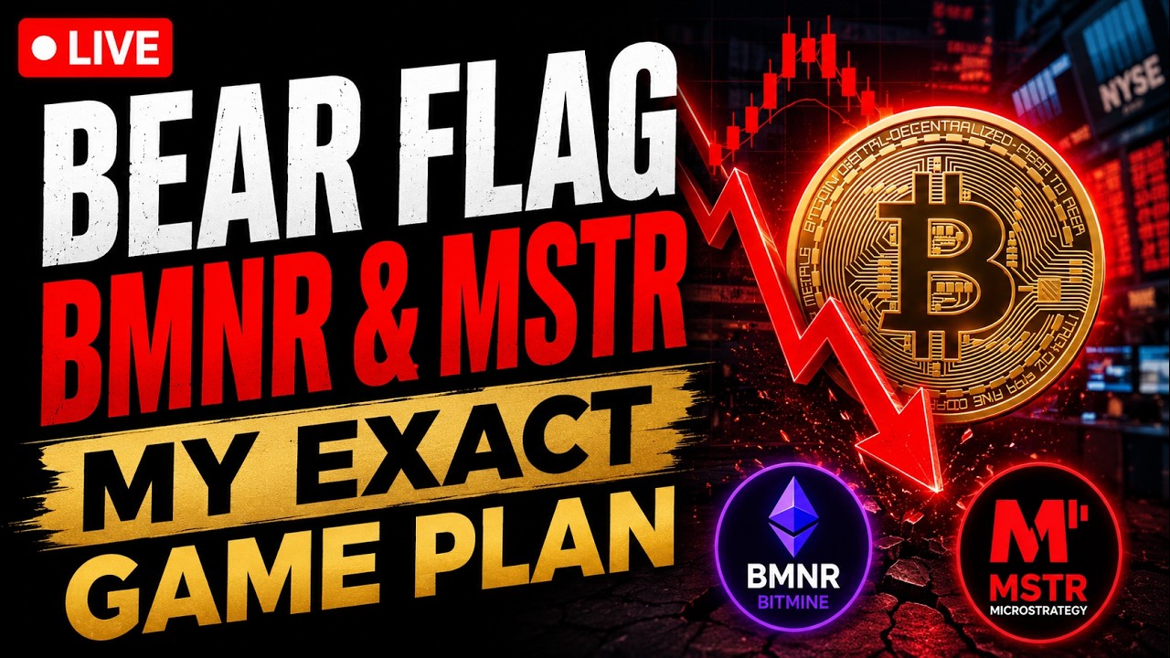 🚨 Why BMNR & MSTR Holders Need To Watch This Bitcoin Bear Flag Right Now