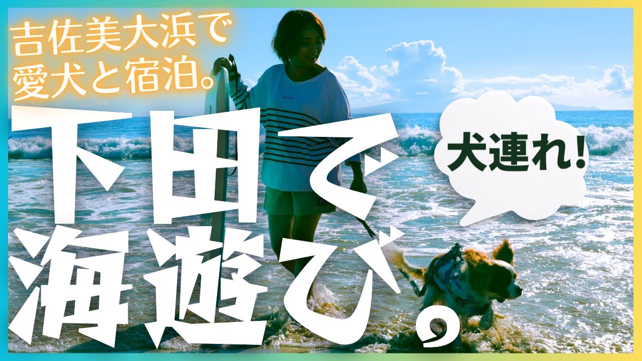 【伊豆下田／犬連れ旅行】楽しかった夏の思い出。最高に綺麗なビーチ、下田の白浜大浜・吉佐美大浜で海遊びしてきました。