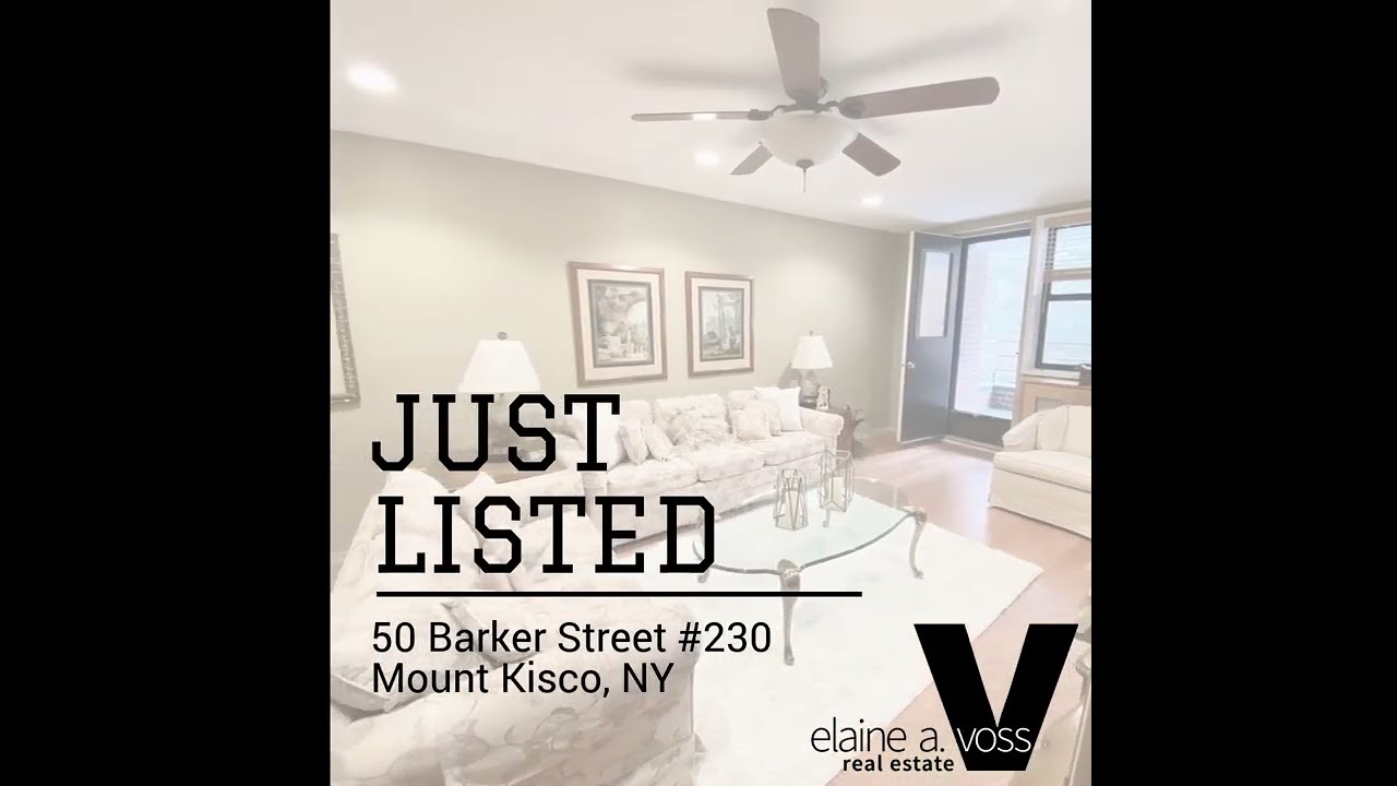 50 Barker St #230, Mount Kisco, NY