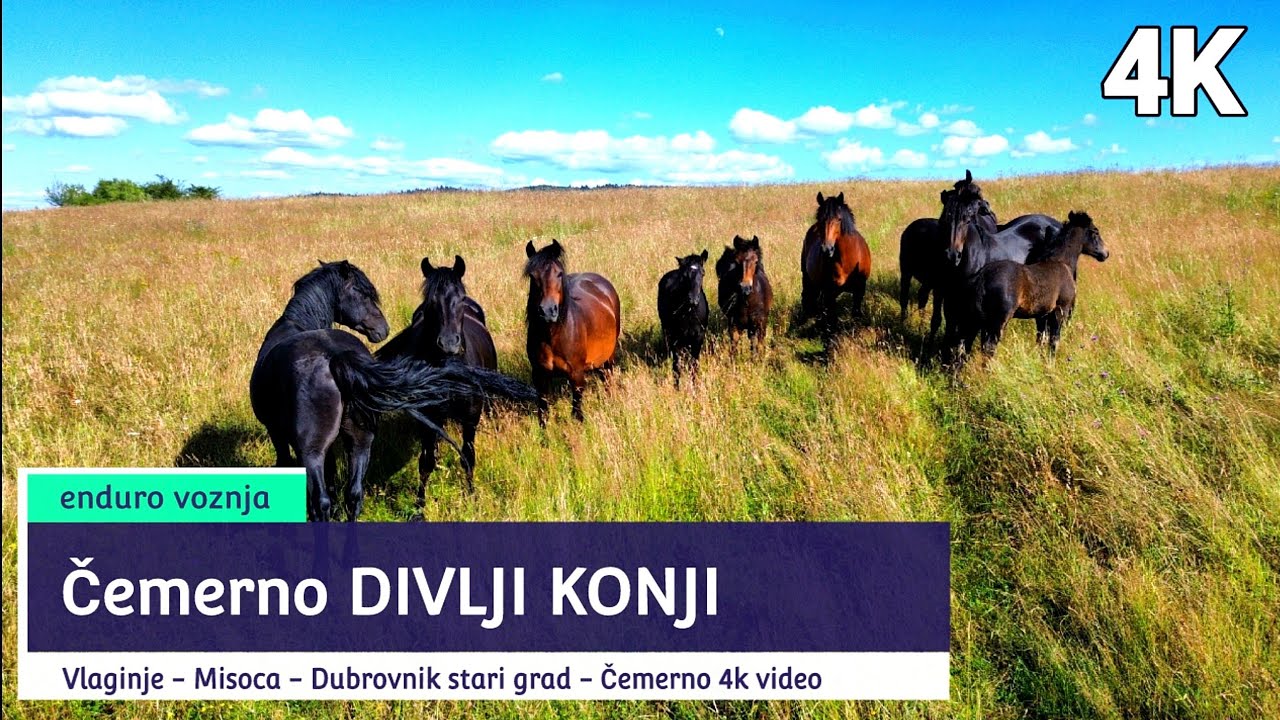 Divlji konji Čemerno voznja motorom Vlahinje Stari grad Dubrovnik  - Nasiči - Čemerno 27. juli 2023.