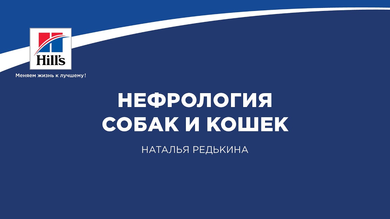 Вебинар на тему: 