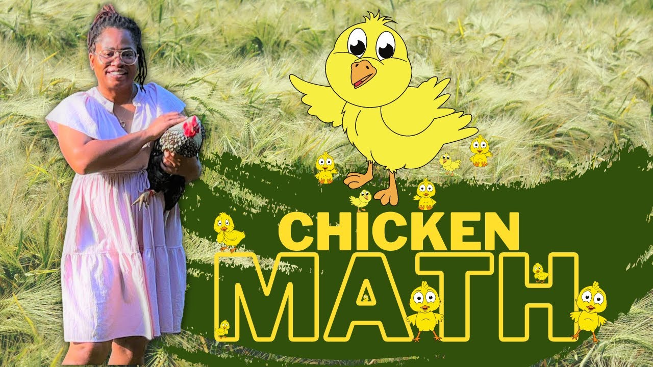 Chicken Math for BEGINNERS!