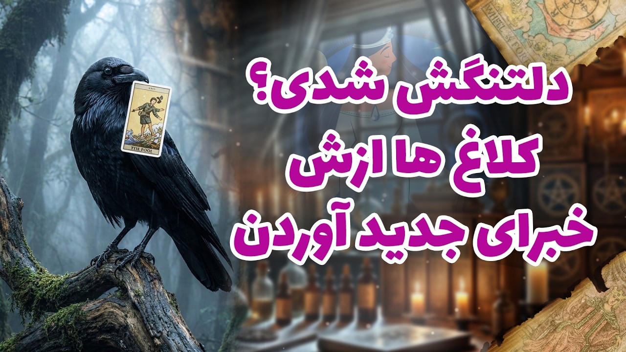 شراره تاروت کوچینگ - دلتنگش شدی؟ کلاغ ها ازش خبرای جدید آوردن