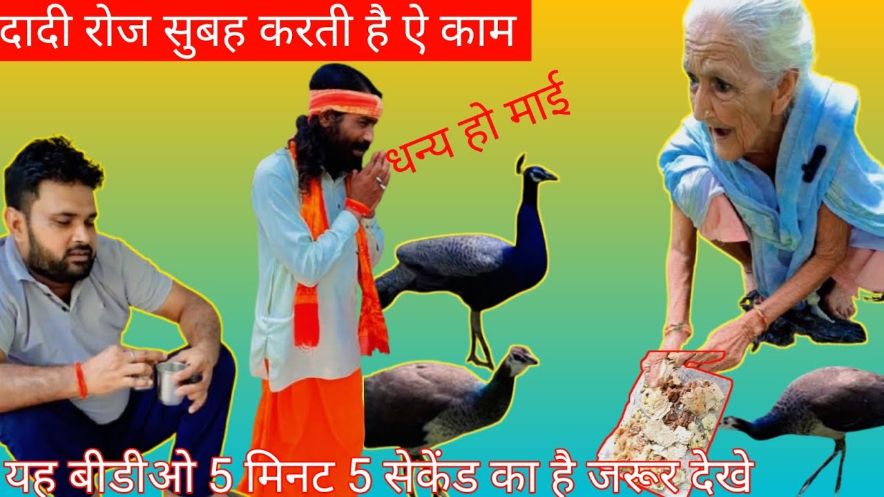 रोज सुबह खाना देती है दादी पूरी कहानी जाने 😇