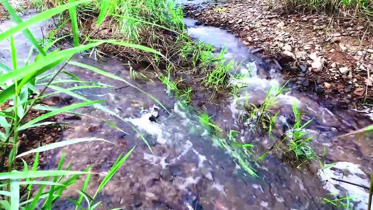 5. [4K] Mountain Waterfall Sounds for Sleep and study #relaxingwithnature  #waterfall #sleep #study