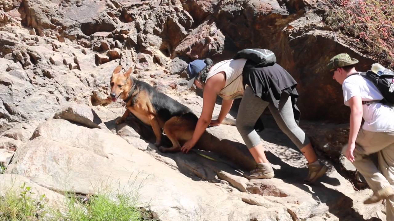 Etiwanda Fall Hiking Vlog #2