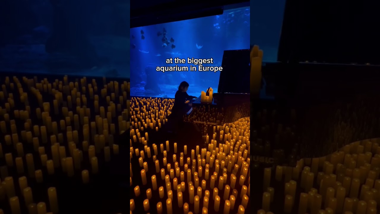 A Candlelight Concert at the biggest Aquarium in Europe - Nausica&aacute; #candlelight #aquarium