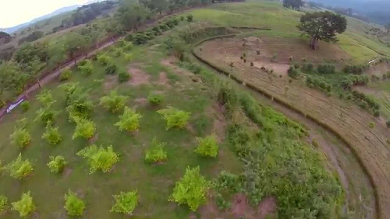 Cosecha de Agua en Keyline con Máshumus