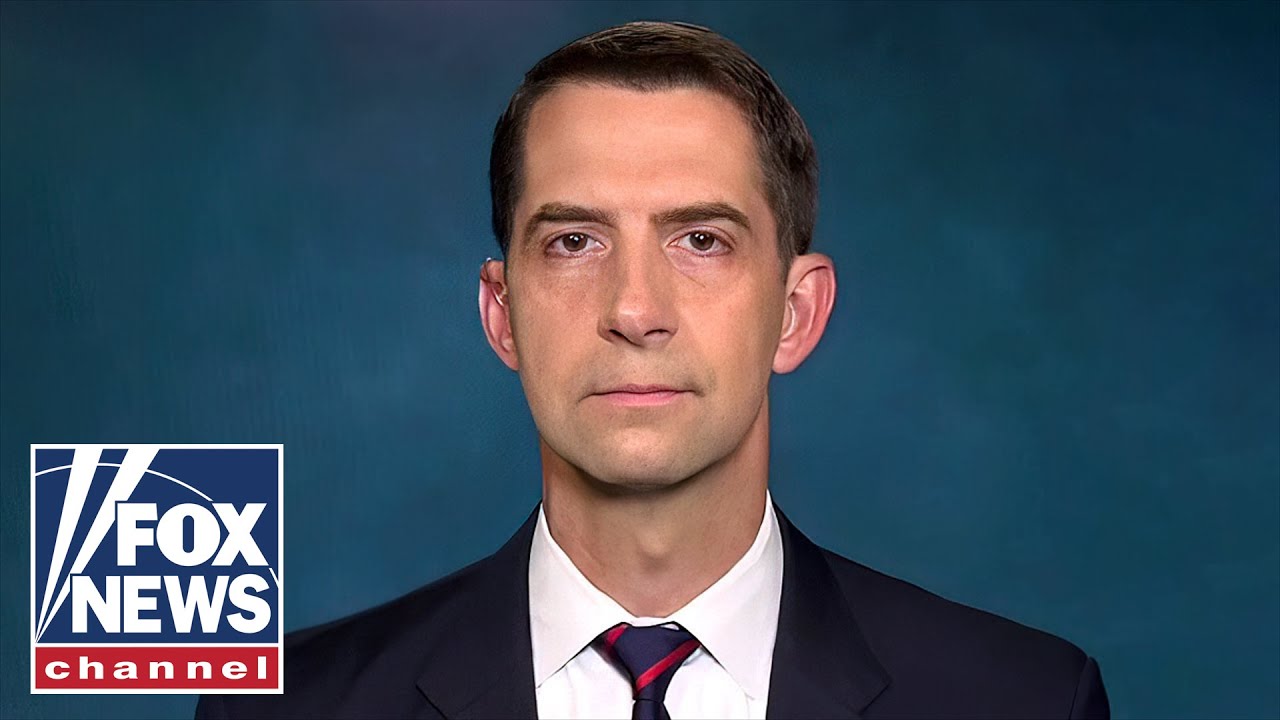 Tom Cotton rips 'woke' CEO's 'shocking indifference' to Uyghur abuses