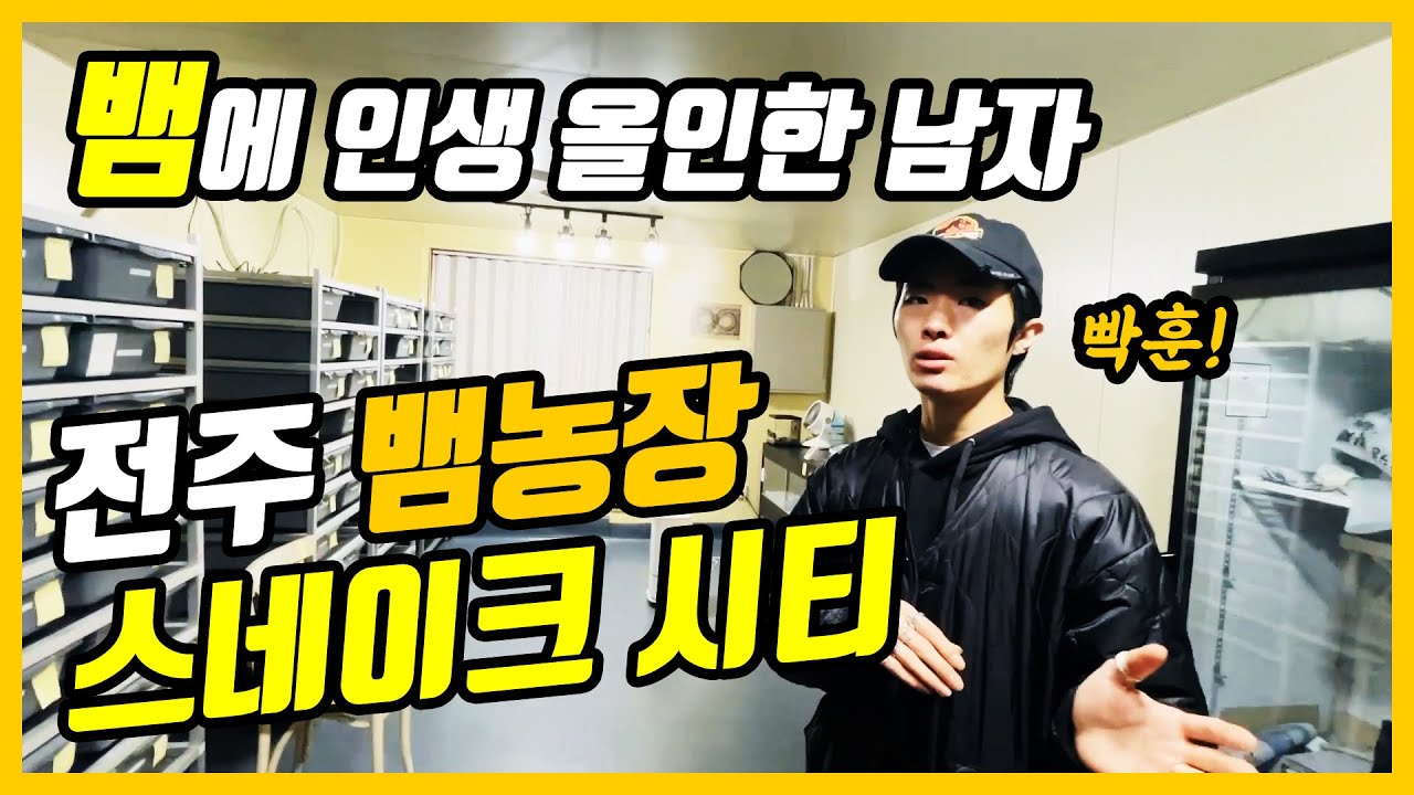 뱀에 인생 올인한 남자가 전주 스네이크시티 파충류샵 방문기 #1 리뷰편