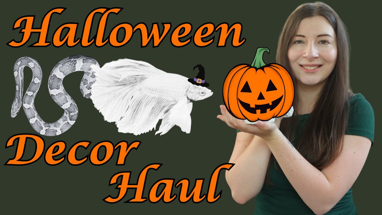Halloween Aquarium + Reptile Ornament Haul! | 2024
