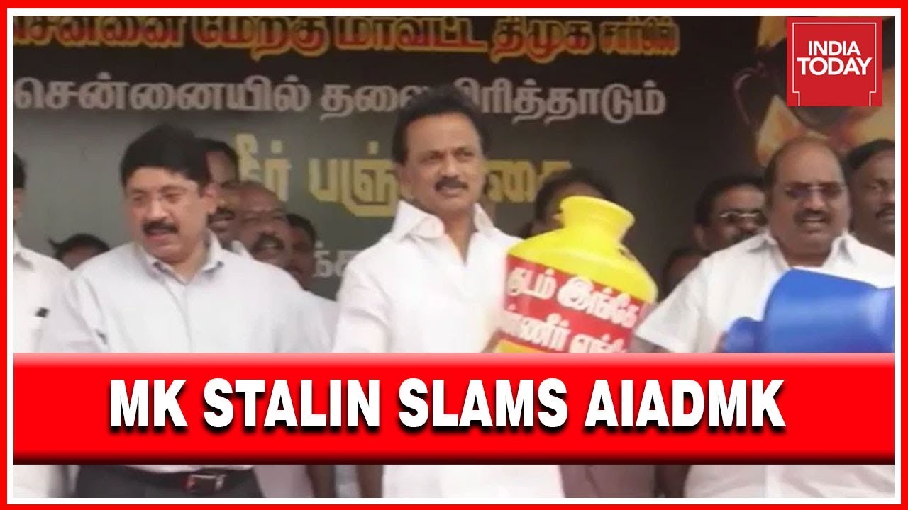 DMK Chief MK Stalin Leads Protest Against Ruling AIADMK, Says Govt Has Done Nothing For 2 Years