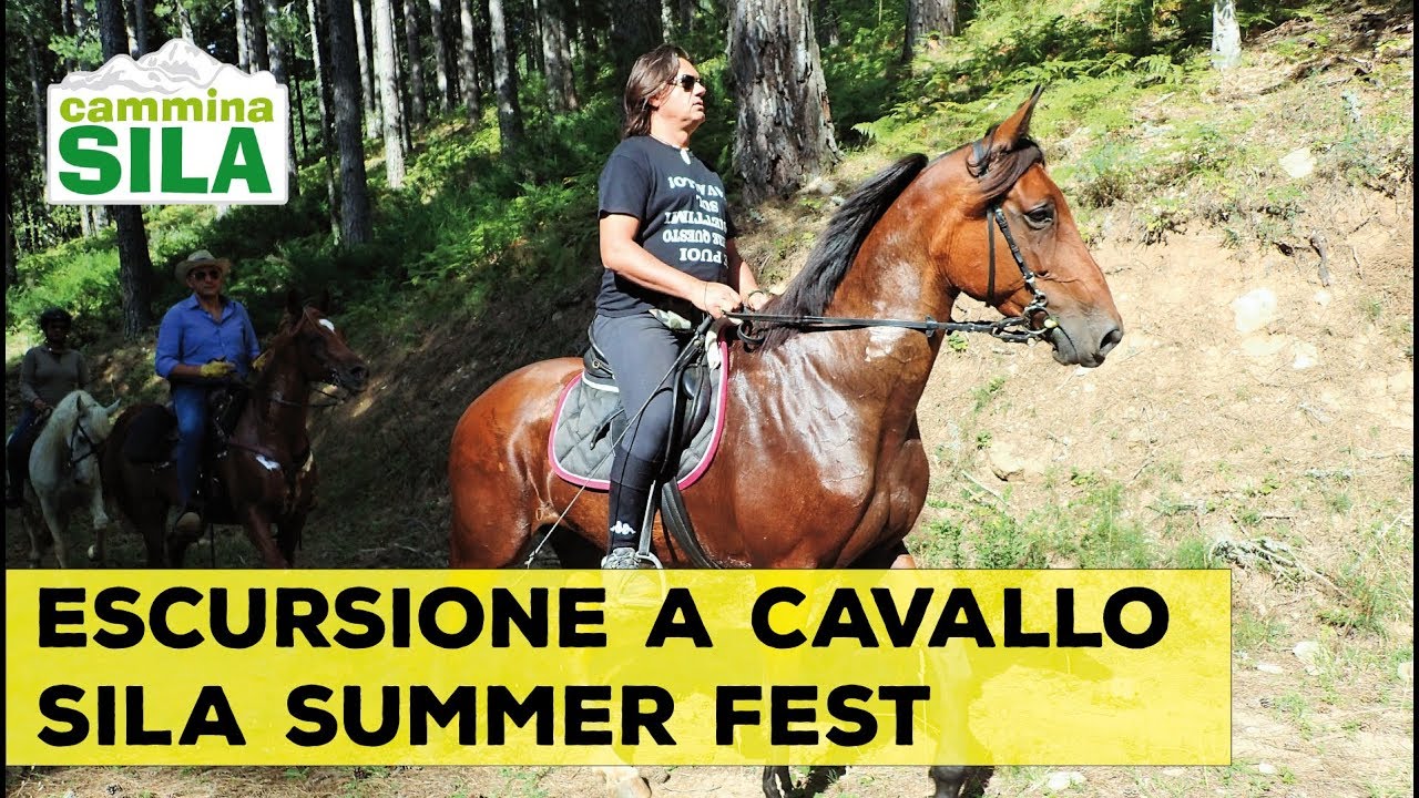 Escursione a Cavallo Sila Summer Fest